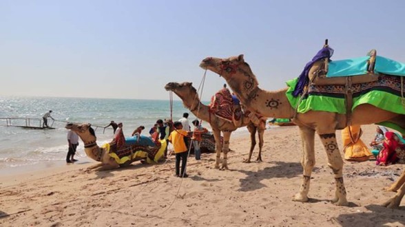 Ahmedpur Mandvi Beach