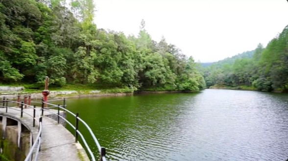 Bhalu Dam Ranikhet