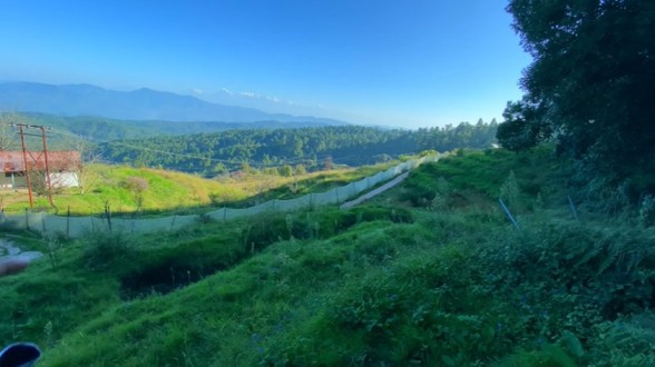 Chaubatia Garden