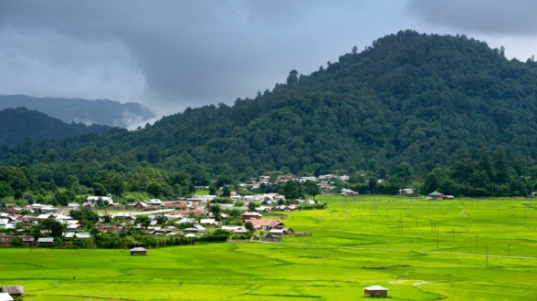 ziro