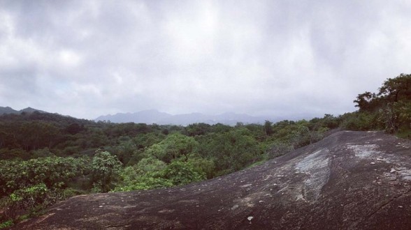 Mount Abu Wildlife Sanctuary