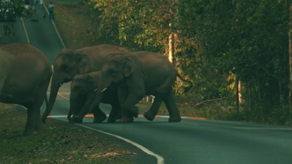 Khao Yai National Park