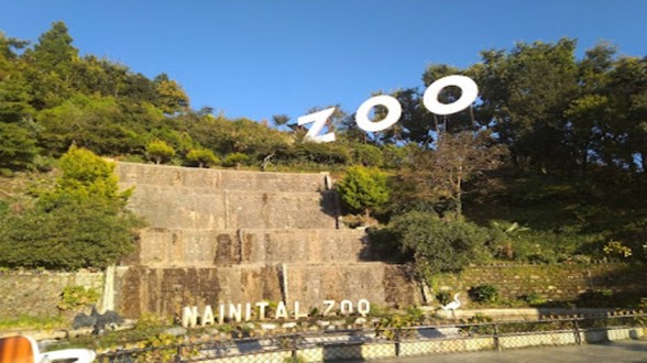 Nainital Zoo Nainital